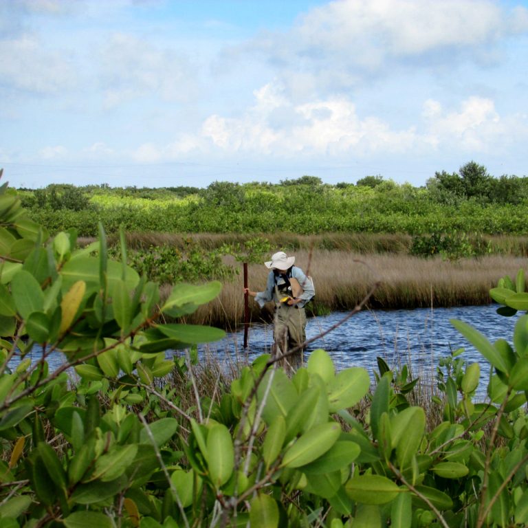 Partnering to protect natural resources