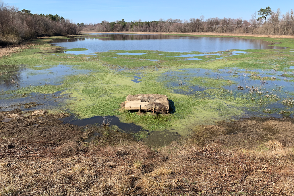 Bear Creek Structure #03 (Bass Lake) Dam Assessment & Rehabilitation