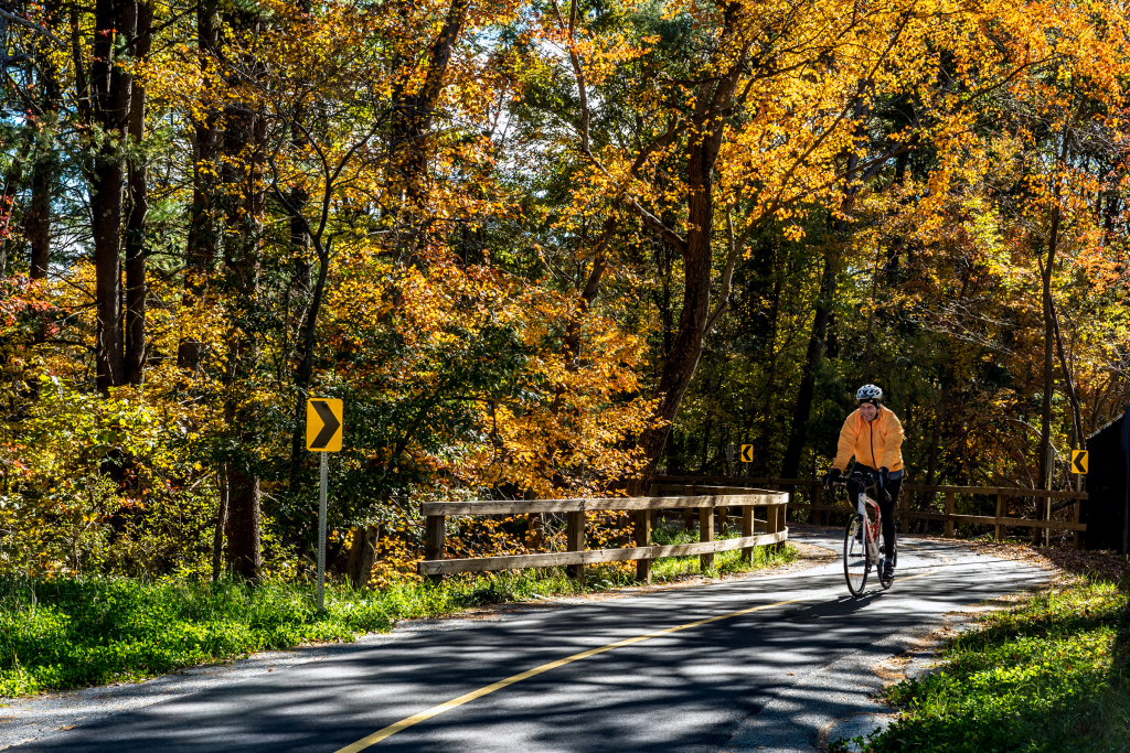 Bruce Freeman Rail Trail