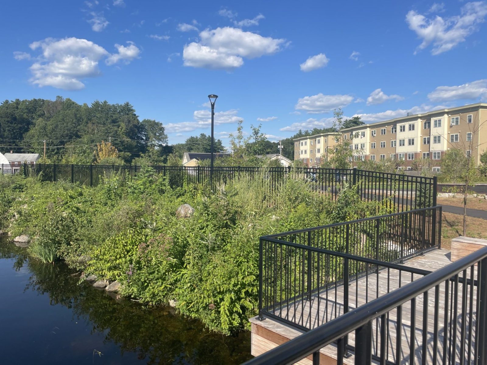 Scenic river view from a bridge, showcasing lush greenery along the water's edge and a bright sky.